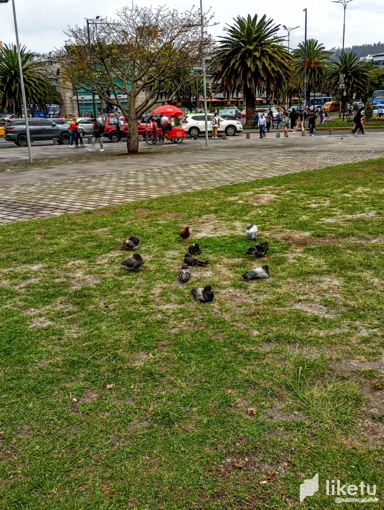 mLXDtR13KDqA0poA_IMG_20241223_114409.webp
