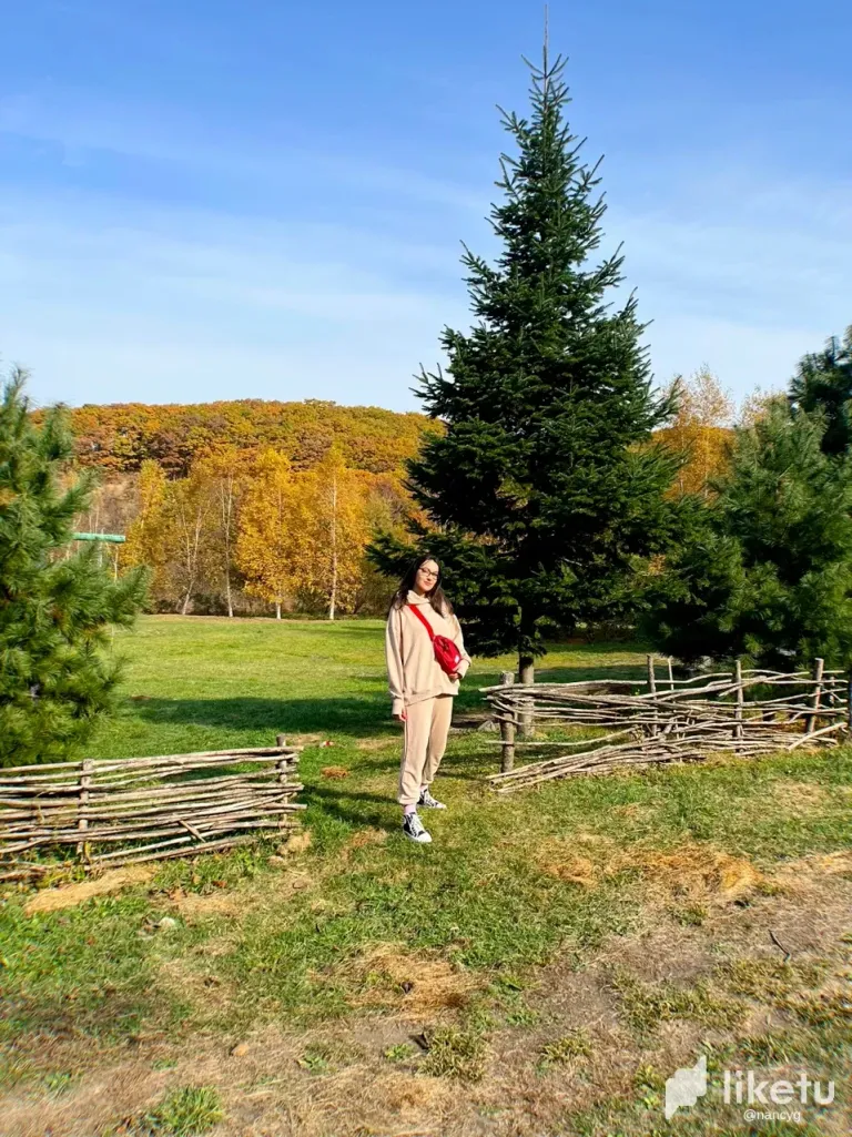 A Little Me in a Big Field