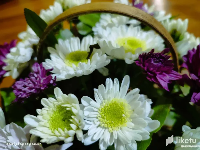 clo4c5zul07gl0xszak6ma97m_1.webp