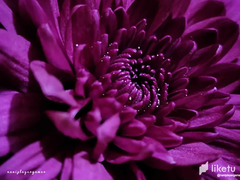 clo4c65t00780b9sze080huoi_3.webp