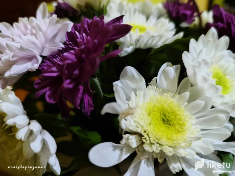 clo4c67e5077o6usz7x2q467t_4.webp