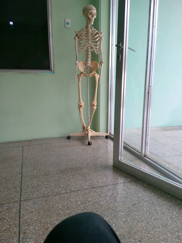E4PbNwqXE4wWDQ7m_1000794980.webp