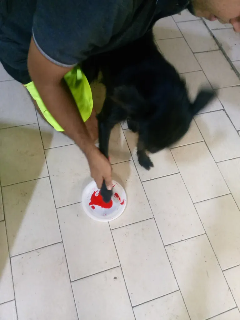 GyrWKBHCUfidcGDR_1000752237.webp
