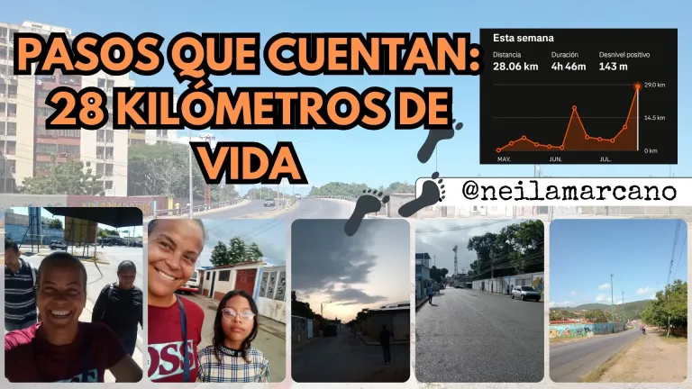 6xiRVEstD7PnJPTh_1000711851.webp
