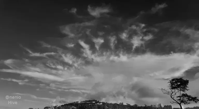 cl9xd1p65020715kc4ny18yty_clouds-020-bw.webp