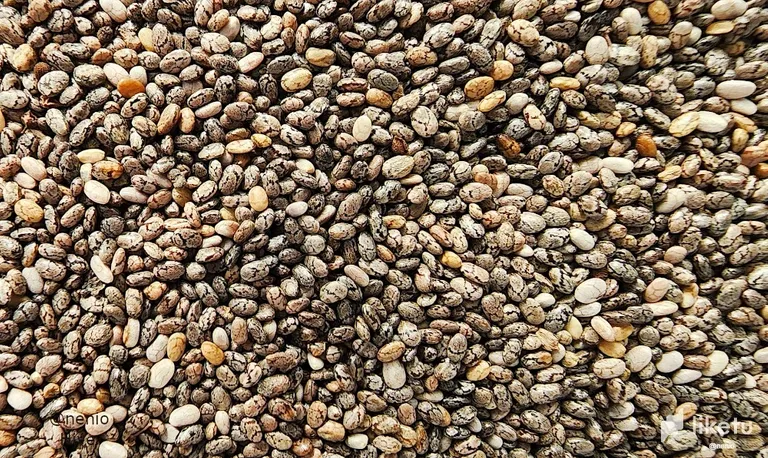 claypyb9505zv1hmjdsdu0593_chia-seeds-001.webp