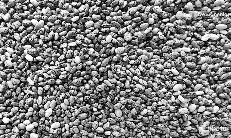 claypyh7c060y19mjhhkthnnz_chia-seeds-001-bw.webp