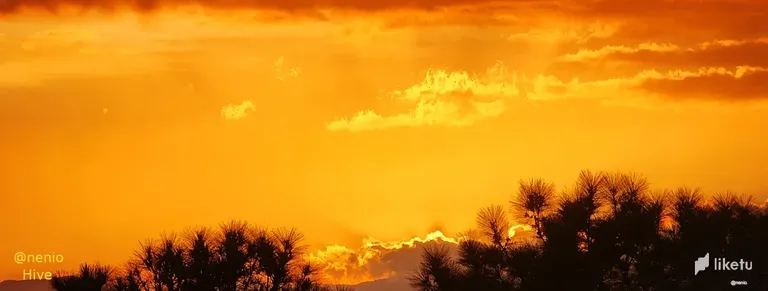 clf0ac48l00haamszgeptgnp4_golden-clouds-002.webp