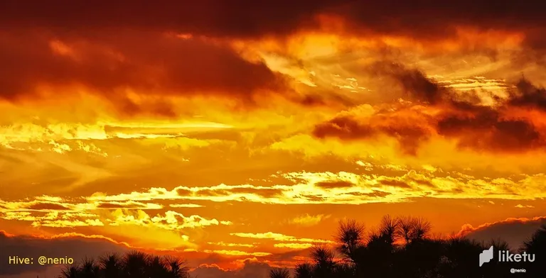 clf0ac4nk00gc67sz2vz77lkk_golden-clouds-001.webp
