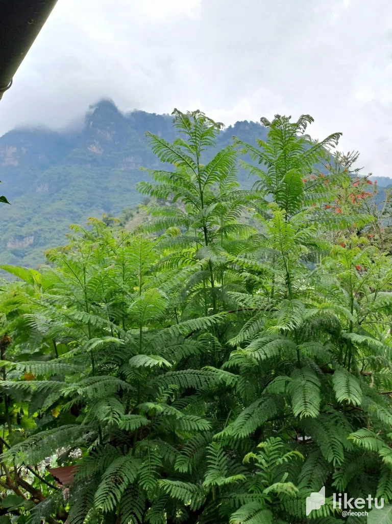 cljnhu28p01jo9isz2n0pgkkg_20230703_162611.webp