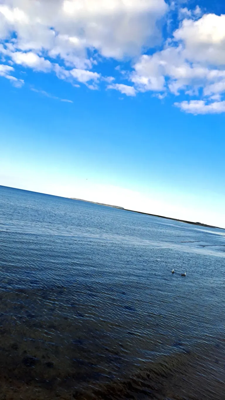 z7VLeGmonYnph3C3_1000048590.webp
