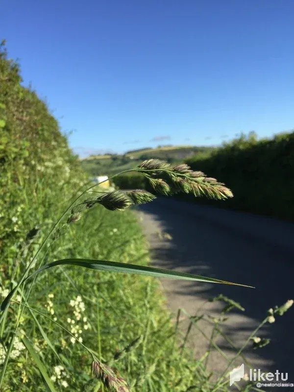 clahug1xo02tk1ymja72fes2y_Buckfastleigh-012.webp