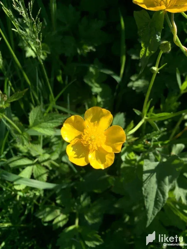 clahug4un02sr0xmjhxxm6yhk_Buckfastleigh-009.webp