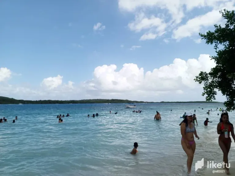 clr56vh910065tcsz1ewd2hfu_IMG-20240106-WA0088.webp