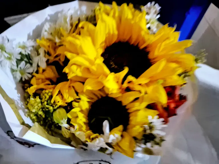 9R5YjGwpEh9ExMCn_20250305_184848.webp