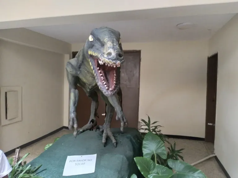 4b44J3QoTKLZlTg3_20250426_100439.webp
