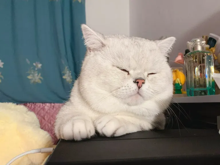 2VeIDY0gfDFSeRIT_IMG_0644.png