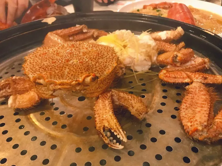 7p9aSOmXzHQEwPYP_IMG_0523.png