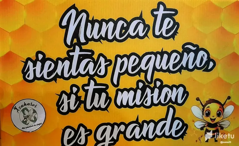 WWed4M1M99woDMIx_20250426_171044-EDIT_mensaje_de_abejas.webp