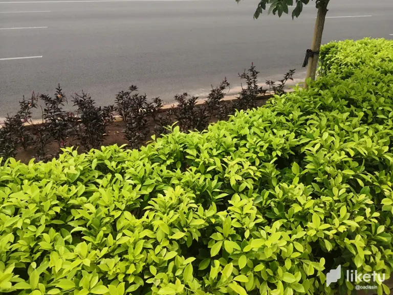 2gQyAZYAMxqNeNrR_IMG_20240303_115025.webp