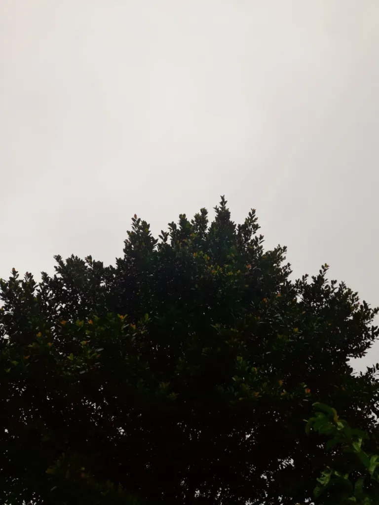 M8WkwRI8GlW0IAUc_Picsart_25-01-24_10-37-50-599.webp