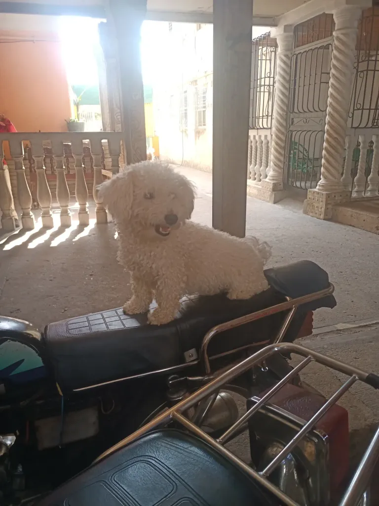 c8BqKfVsG0IItWzZ_IMG_20230418_151149_016.webp