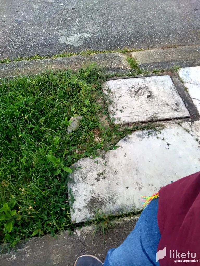 clht6vz2l00ug3xszbjzt6w0p_IMG_20230518_093513.webp