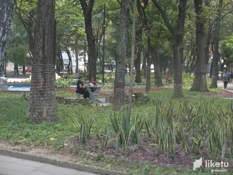 clc8fxccj00ouabszgih7hd47_P1060421.webp