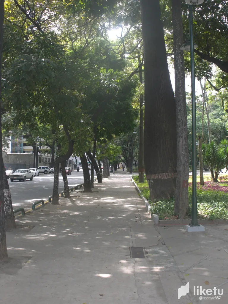 clc8fyx0200lj13szacbg75d4_P1060427.webp