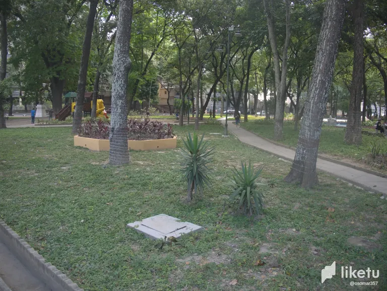 clc8fz7da00nkawszd9fags30_P1060420.webp