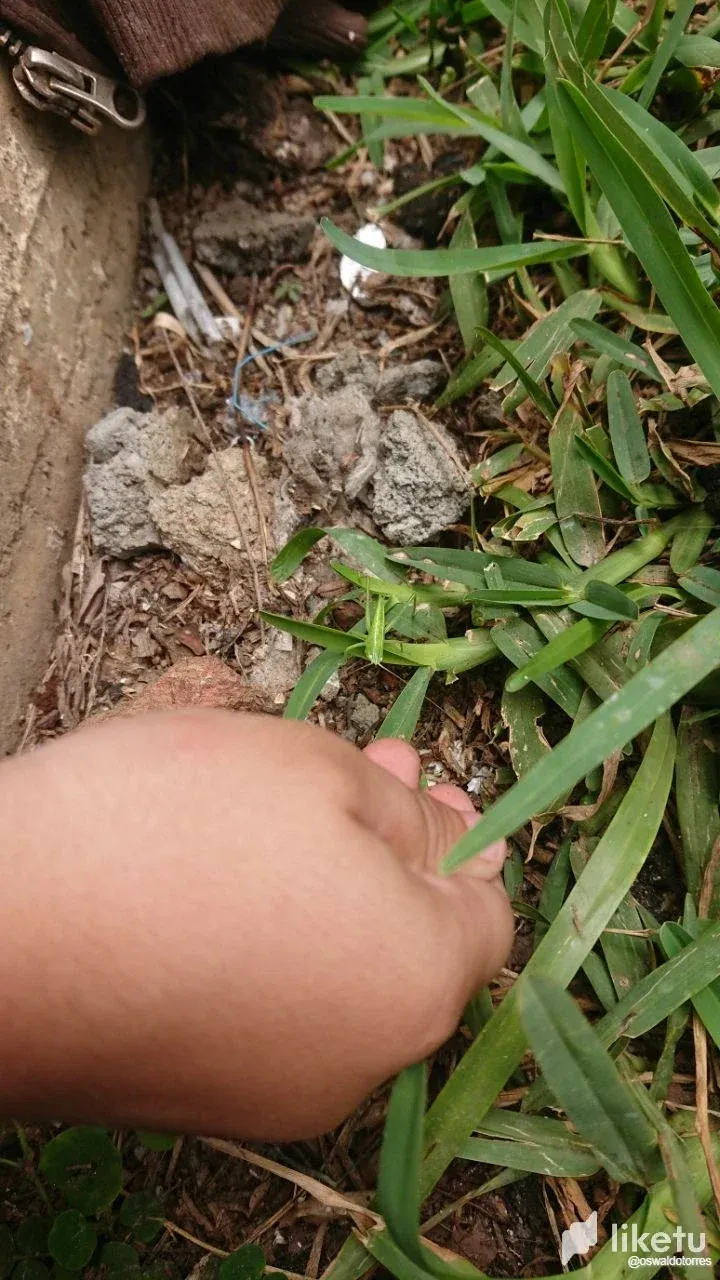 cljc9iwr900o70iszedvzcl6c_photo_2023-06-25_22-33-58.webp