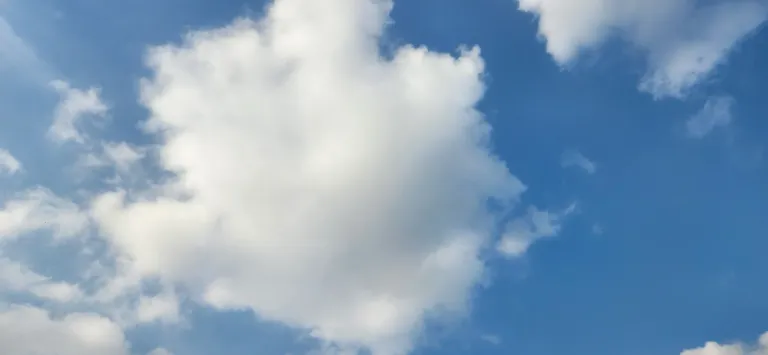 0IPfYKpGE7kS7MC1_1000136477.webp
