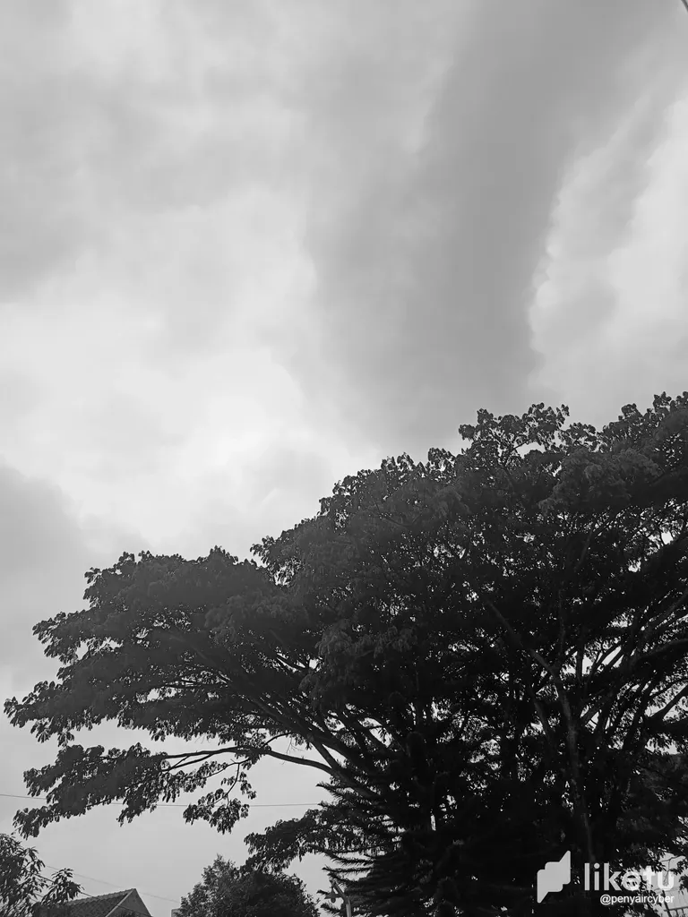 clb6c2tyg01540joqc6r60n2p_IMG20221202151515.webp