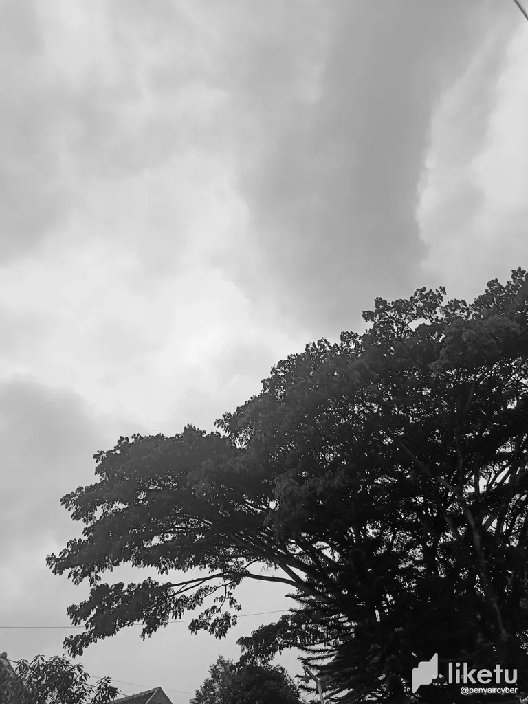 clb6c34ng015v1coqgfbkc2x9_IMG20221202151512.webp