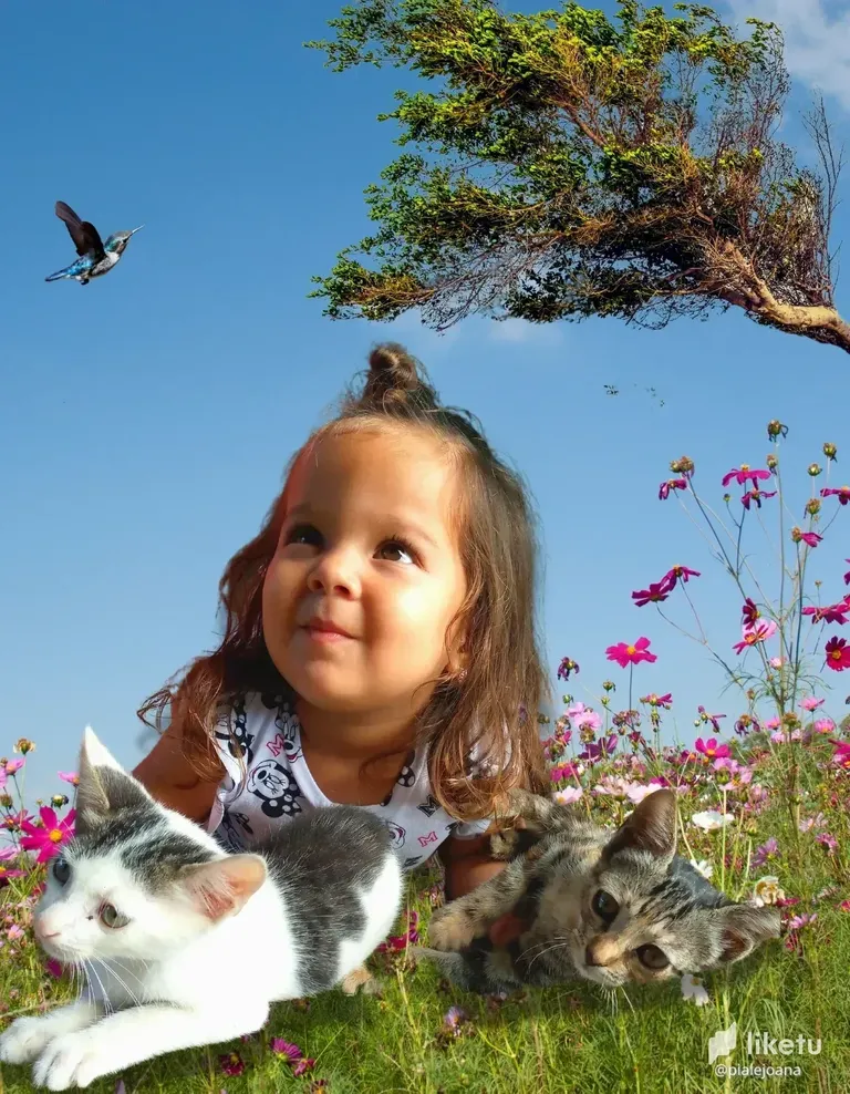 cl7gut2b401eg0hm7as308tjs_png_20220827_224442_0000.webp
