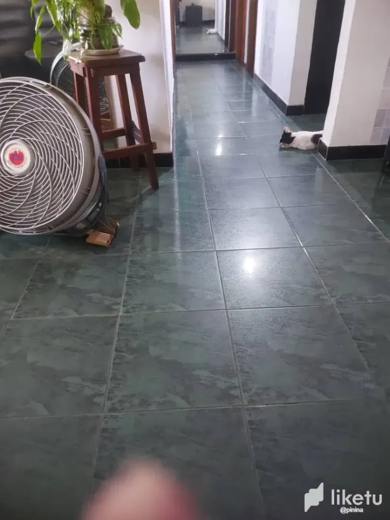 fEmiHjjD8irnCdYH_IMG-20250528-WA0026.webp