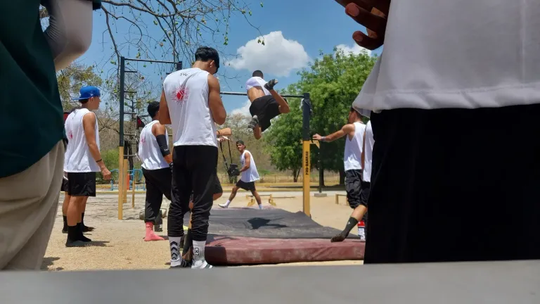 d804nllQNlGDkodK_20250330_114250.webp