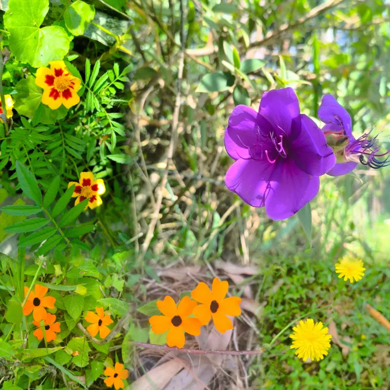 jiClIYGTeJDzFhmG_1000270189.webp