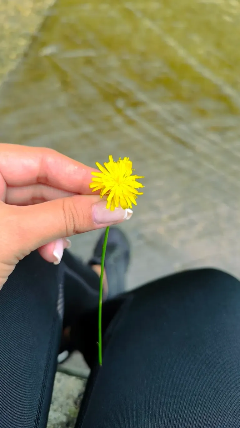 kjrDLokO8avKNdnW_1000281004.webp