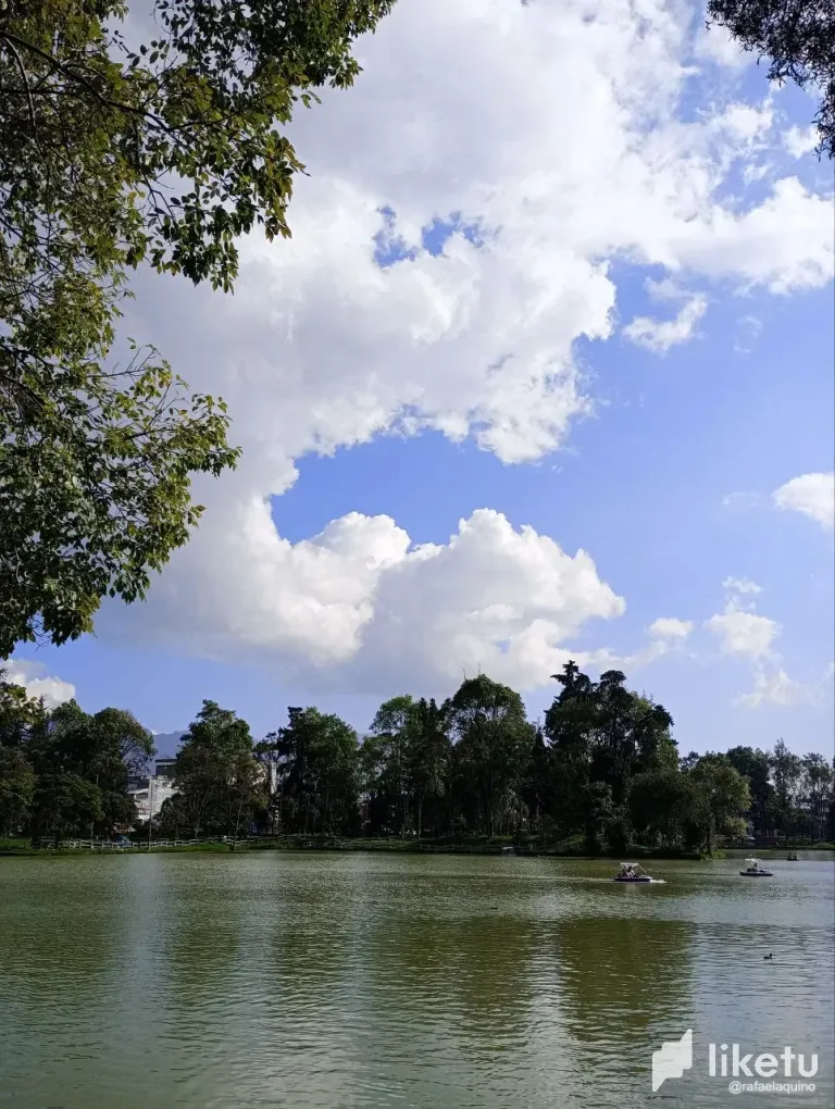 N4ZbgrlmJAjxwVEo_photo_2024-12-09_10-04-10.webp