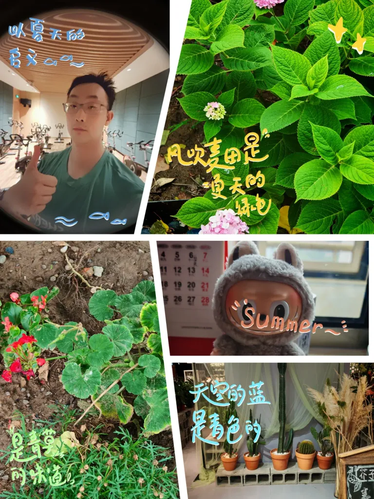 1OFC5jj3kdNIAenq_MEITU_20250617_205018609.webp