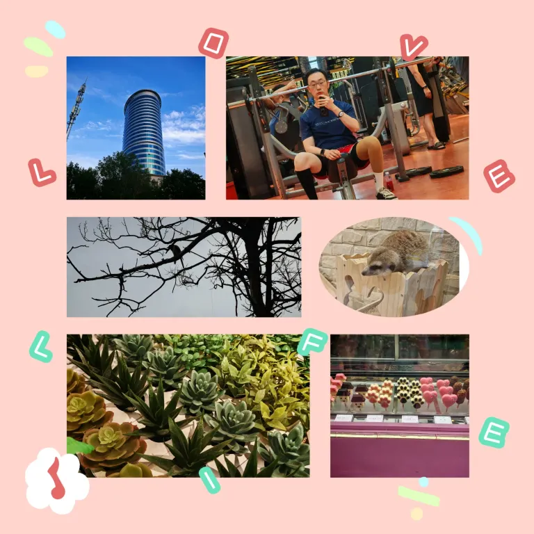 48R5P4qZRLh0IHcQ_MEITU_20250619_224452003.webp