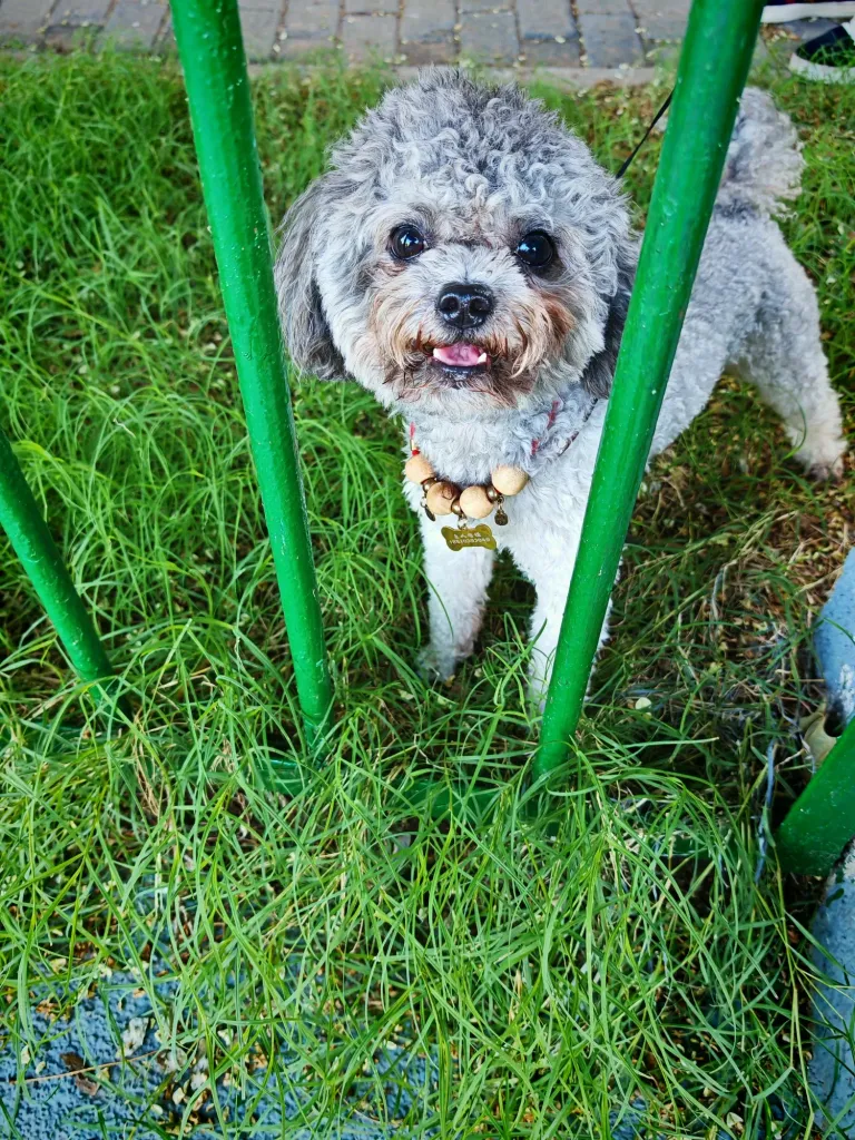 LMDZ38G2Gm3AYre2_IMG_20250721_172553.webp