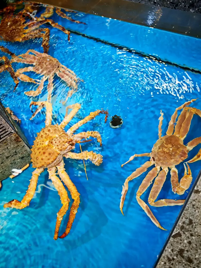 ShCQg09mZhc1VruW_IMG_20250729_202915.webp