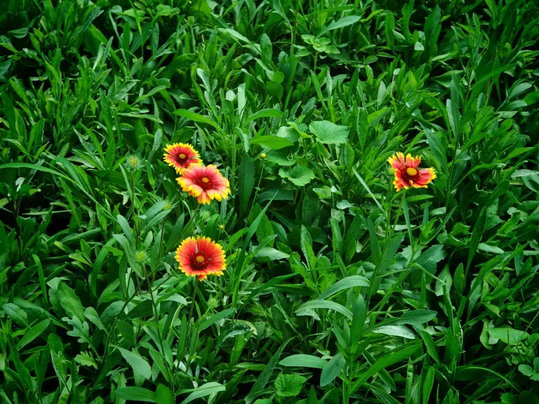 upwXJxVzGm0KBntw_IMG_20250701_171313.webp