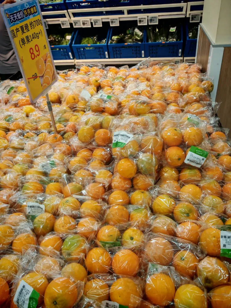 vj5zDbvWZeU7kGzR_IMG_20250601_130324.webp