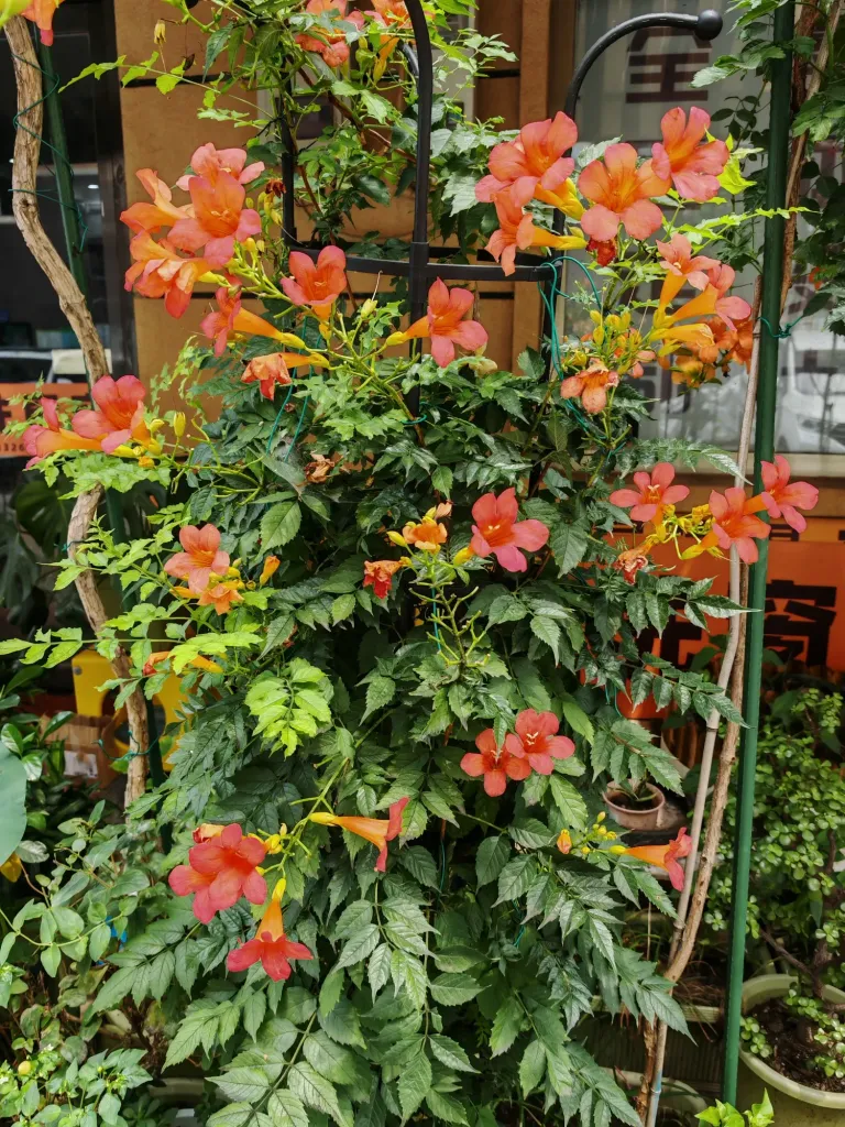 x40DWE8OhDbRBxFF_IMG_20250802_112306.webp