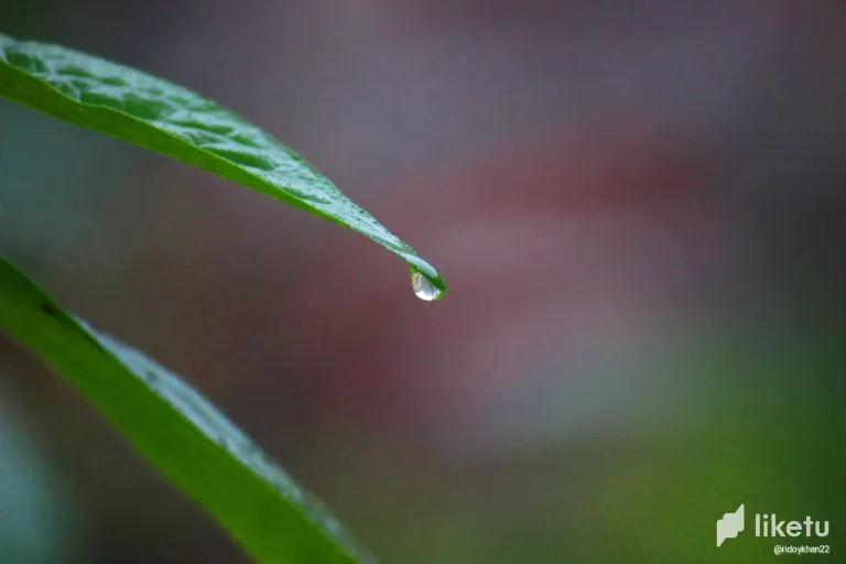 clra3j1b8013pljszgwmjbl55_14.webp