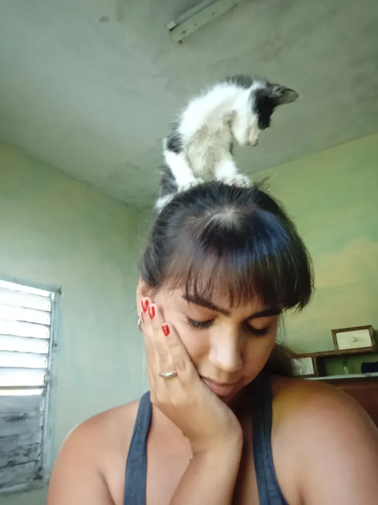 2LTHKLdWCnMQjQgo_IMG_20250822_165739.webp