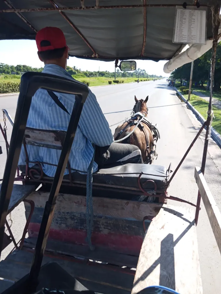 3BHCSqeBT86EE7RF_IMG_20250809_091916.webp